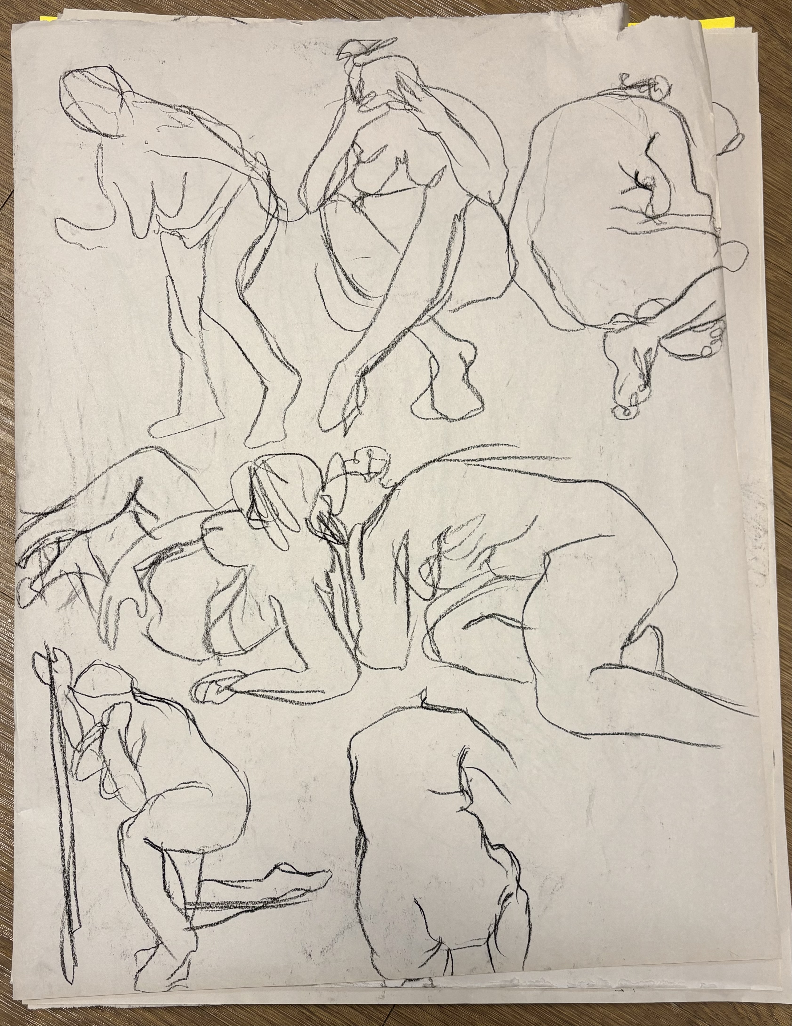 46 x 61 cm
