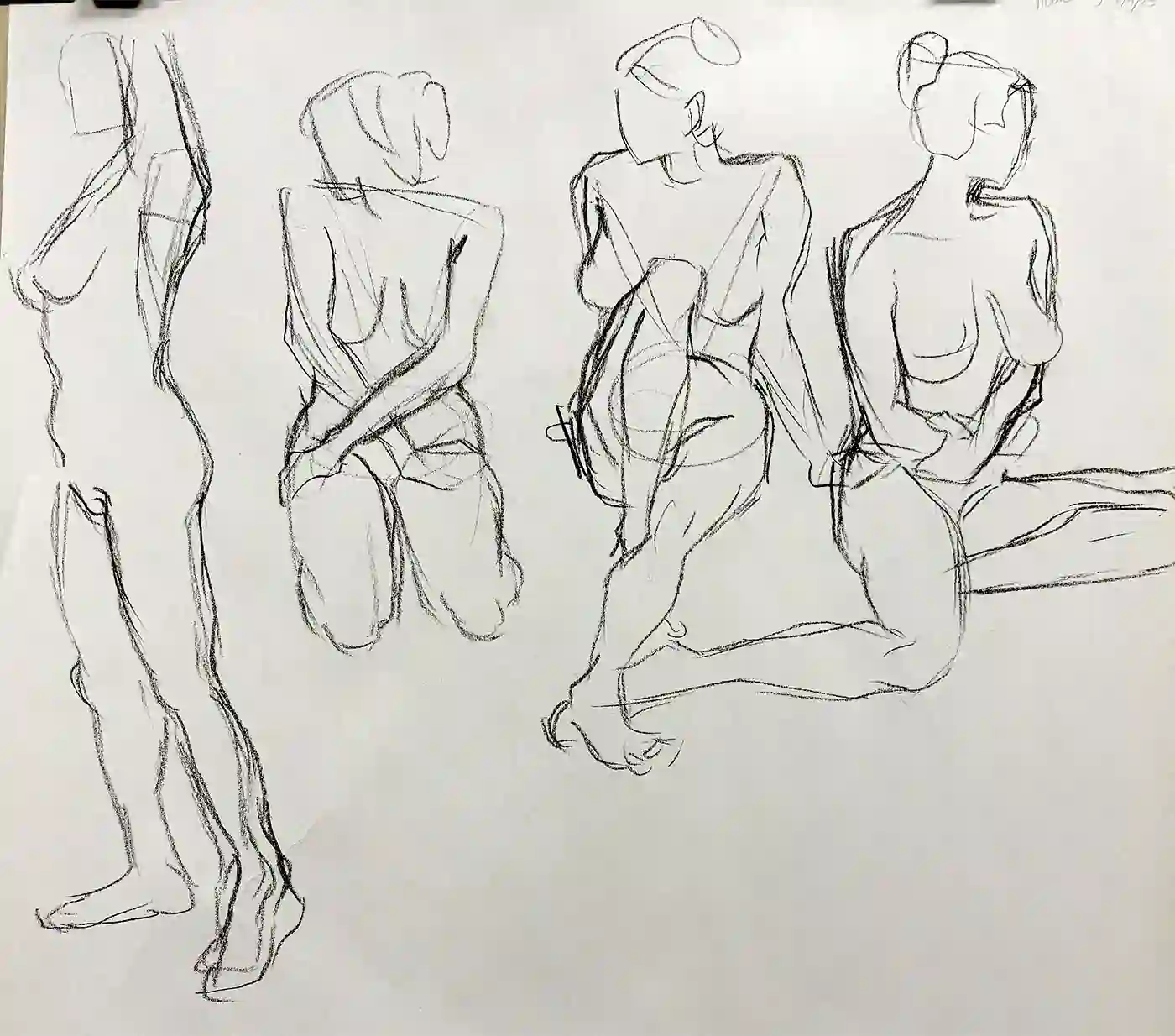 46 x 61 cm