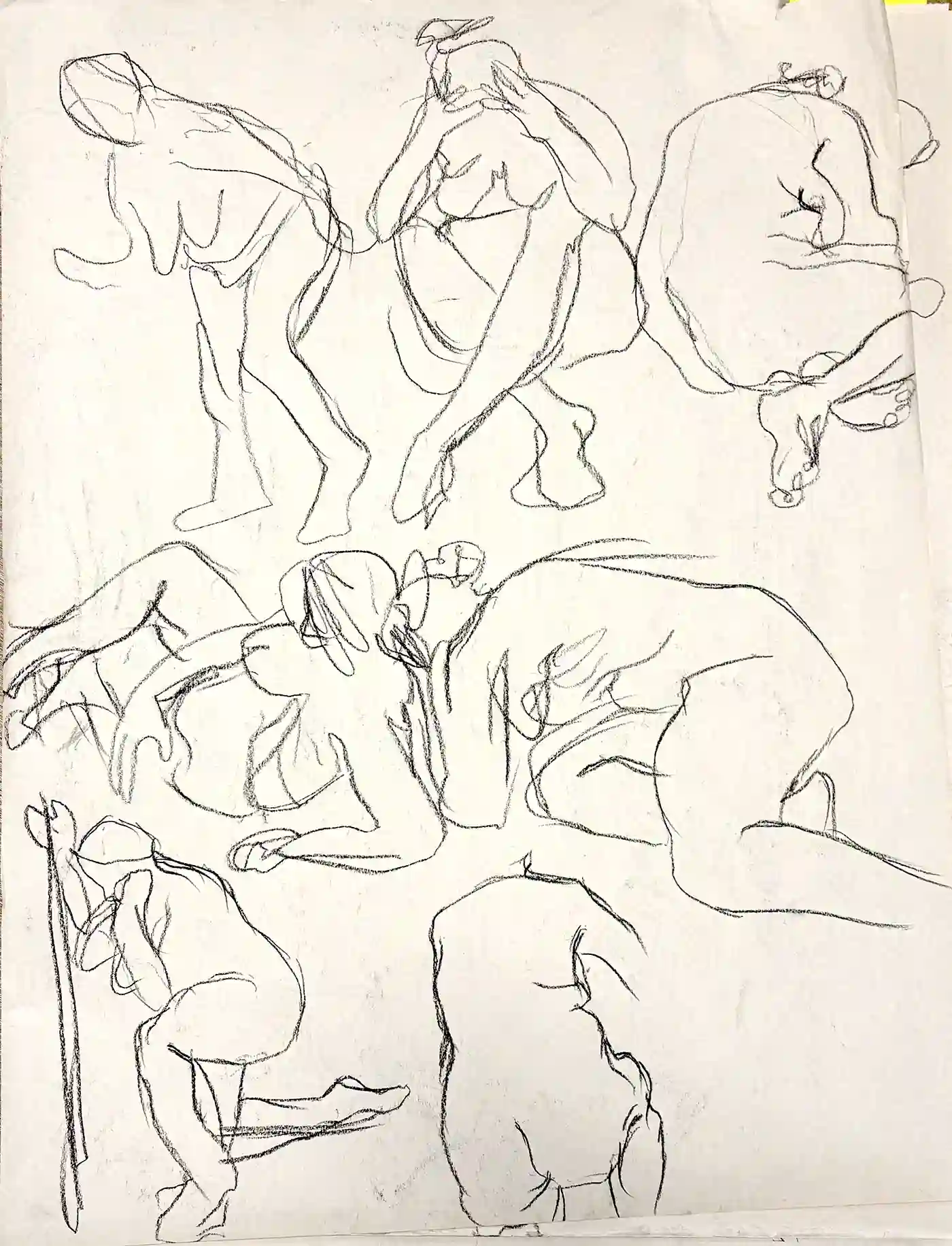 46 x 61 cm