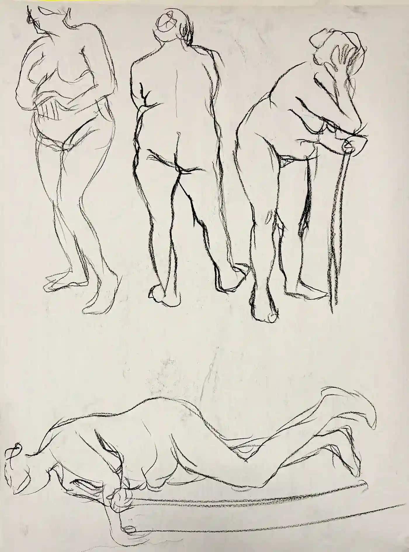 46 x 61 cm