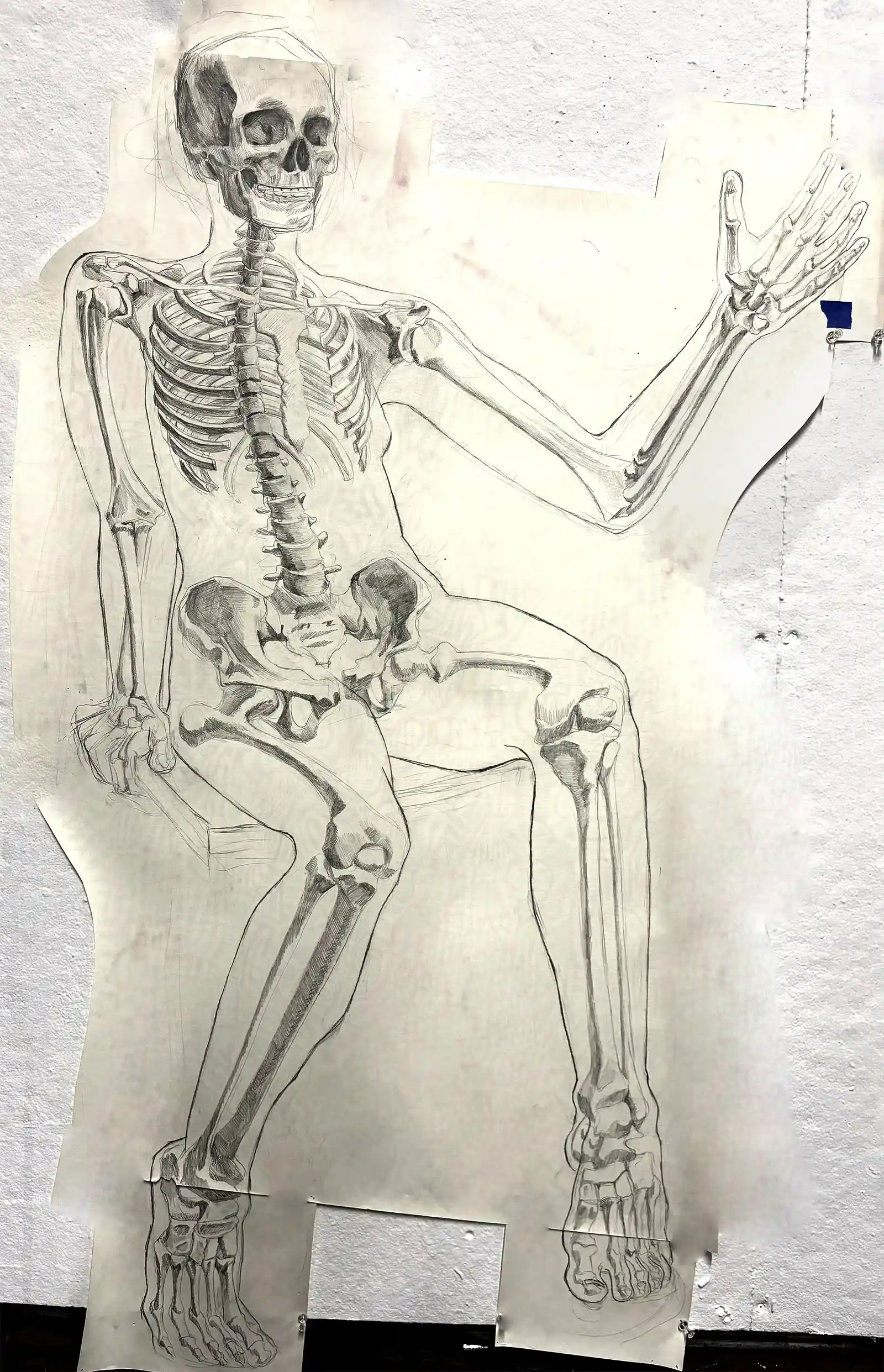 122 x 165 cm, Skeleton Study