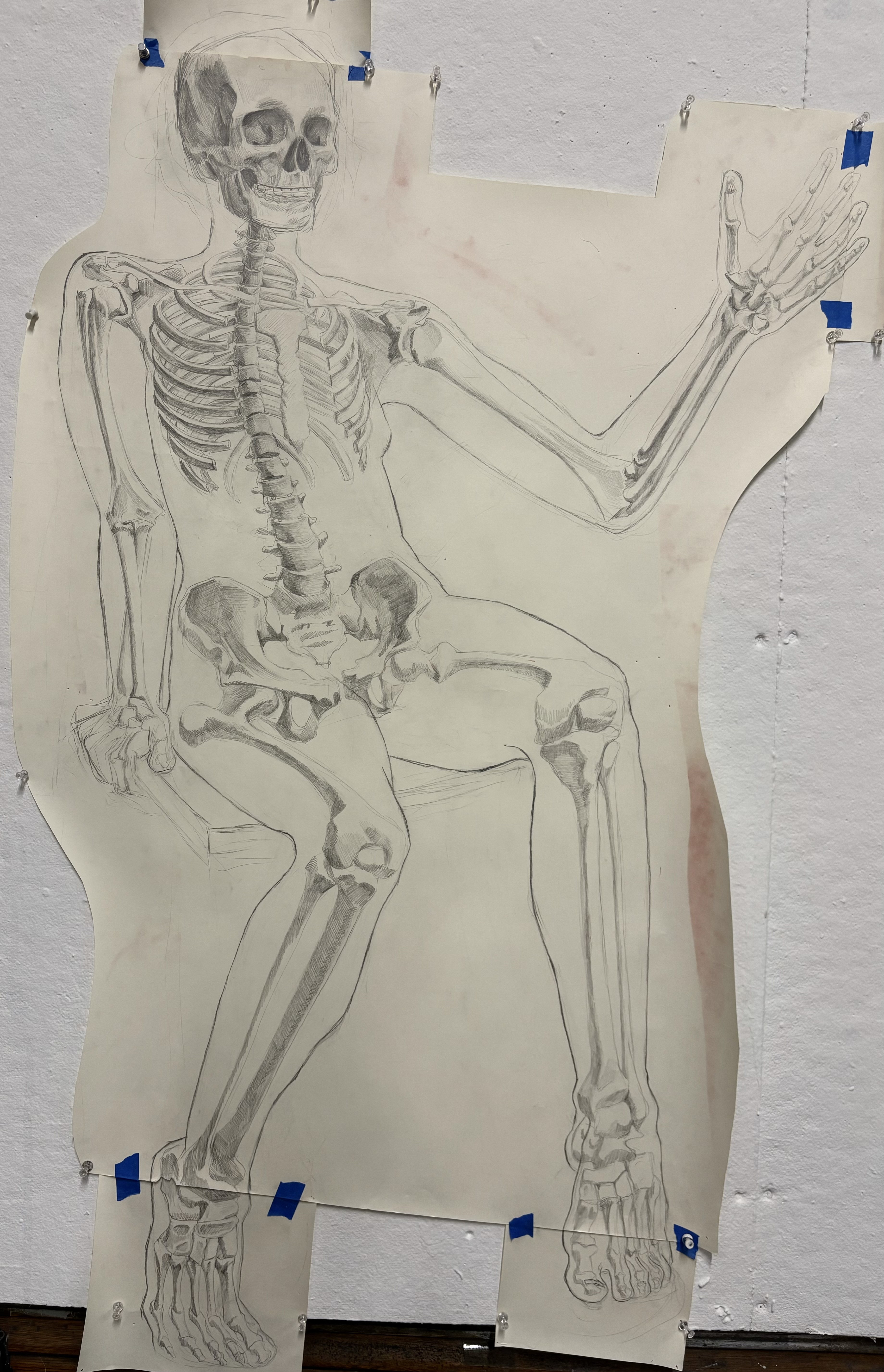 122 x 165 cm, Skeleton Study