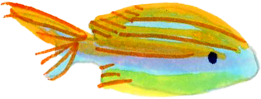 Fish icon